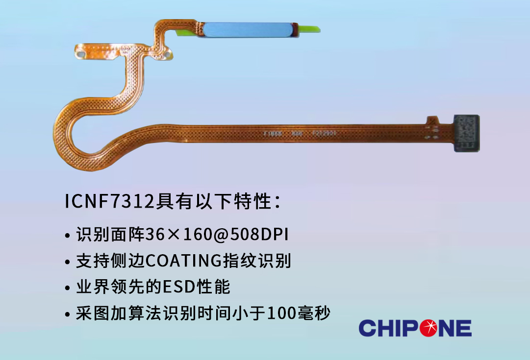 wsq265kk-493